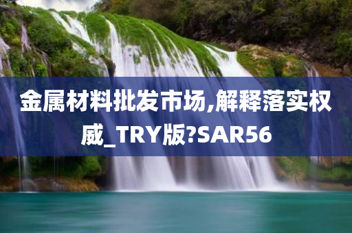 金属材料批发市场,解释落实权威_TRY版?SAR56