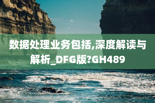 数据处理业务包括,深度解读与解析_DFG版?GH489