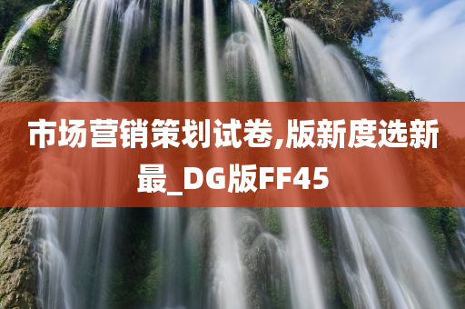 市场营销策划试卷,版新度选新最_DG版FF45