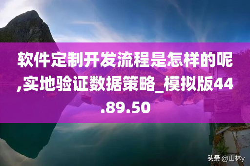 软件定制开发流程是怎样的呢,实地验证数据策略_模拟版44.89.50