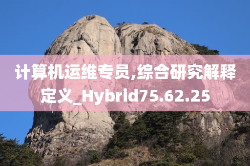 计算机运维专员,综合研究解释定义_Hybrid75.62.25