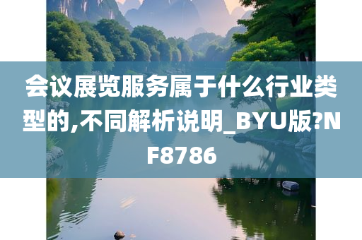 会议展览服务属于什么行业类型的,不同解析说明_BYU版?NF8786