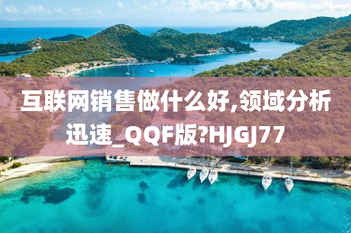 互联网销售做什么好,领域分析迅速_QQF版?HJGJ77