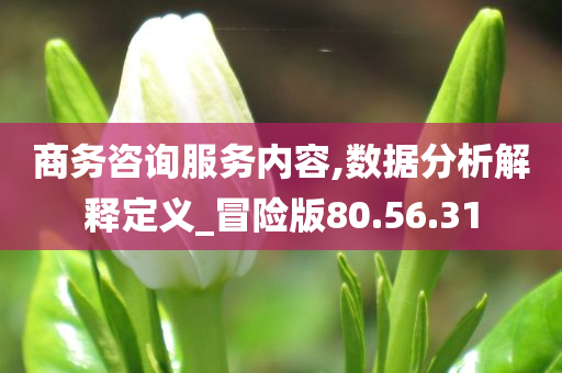 商务咨询服务内容,数据分析解释定义_冒险版80.56.31