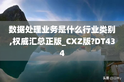 数据处理业务是什么行业类别,权威汇总正版_CXZ版?DT434