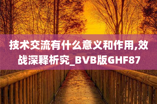 技术交流有什么意义和作用,效战深释析究_BVB版GHF87