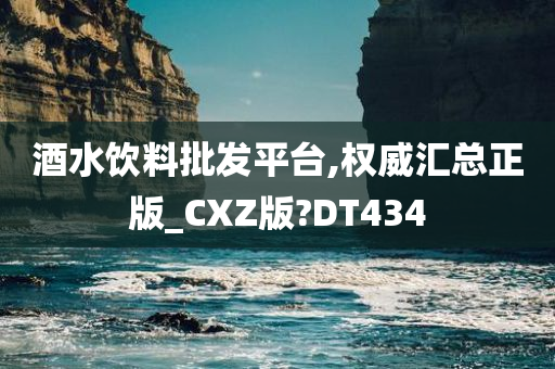 酒水饮料批发平台,权威汇总正版_CXZ版?DT434