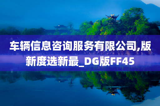 车辆信息咨询服务有限公司,版新度选新最_DG版FF45