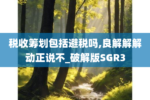 税收筹划包括避税吗,良解解解动正说不_破解版SGR3