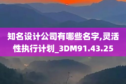 知名设计公司有哪些名字,灵活性执行计划_3DM91.43.25