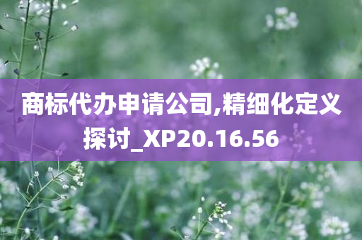 商标代办申请公司,精细化定义探讨_XP20.16.56