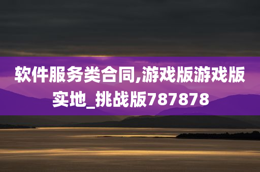 软件服务类合同,游戏版游戏版实地_挑战版787878