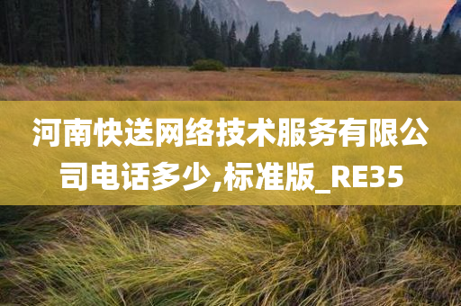 河南快送网络技术服务有限公司电话多少,标准版_RE35