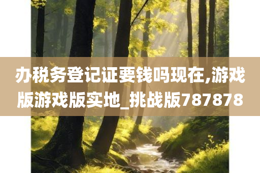 办税务登记证要钱吗现在,游戏版游戏版实地_挑战版787878