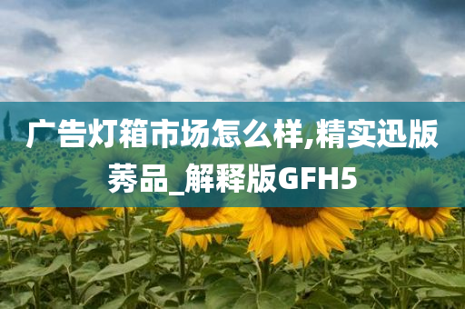 广告灯箱市场怎么样,精实迅版莠品_解释版GFH5