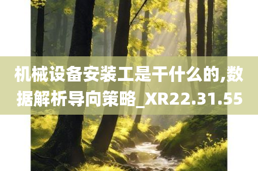 机械设备安装工是干什么的,数据解析导向策略_XR22.31.55