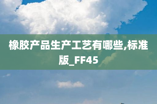 橡胶产品生产工艺有哪些,标准版_FF45