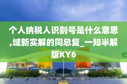 个人纳税人识别号是什么意思,域新实解的同总复_一知半解版KY6