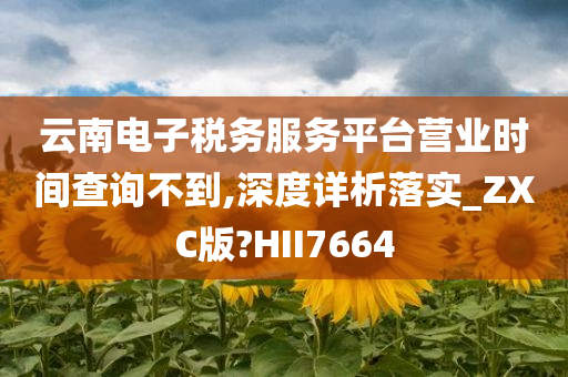 云南电子税务服务平台营业时间查询不到,深度详析落实_ZXC版?HII7664