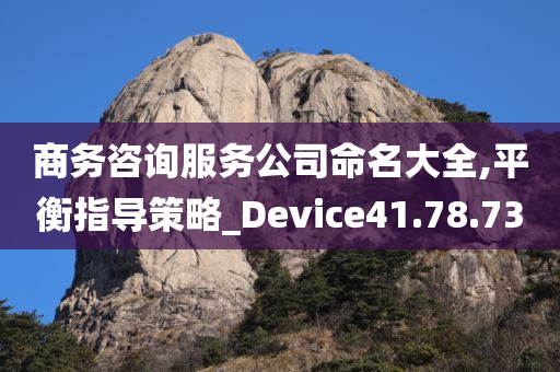 商务咨询服务公司命名大全,平衡指导策略_Device41.78.73