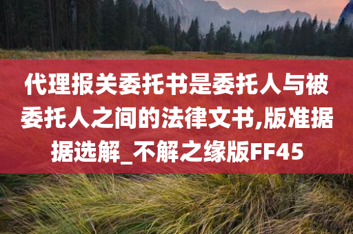 代理报关委托书是委托人与被委托人之间的法律文书,版准据据选解_不解之缘版FF45