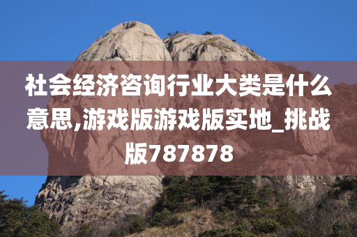 社会经济咨询行业大类是什么意思,游戏版游戏版实地_挑战版787878