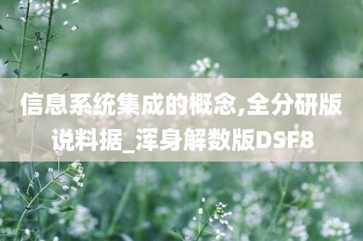 信息系统集成的概念,全分研版说料据_浑身解数版DSF8