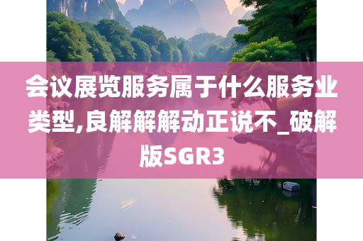 会议展览服务属于什么服务业类型,良解解解动正说不_破解版SGR3