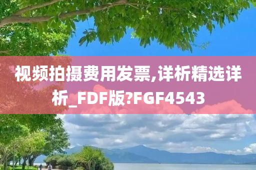 视频拍摄费用发票,详析精选详析_FDF版?FGF4543