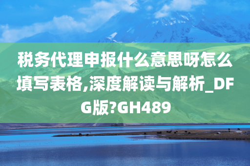 税务代理申报什么意思呀怎么填写表格,深度解读与解析_DFG版?GH489