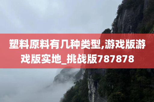 塑料原料有几种类型,游戏版游戏版实地_挑战版787878