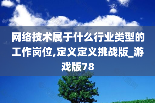 网络技术属于什么行业类型的工作岗位,定义定义挑战版_游戏版78