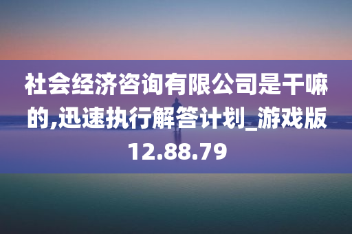 社会经济咨询有限公司是干嘛的,迅速执行解答计划_游戏版12.88.79