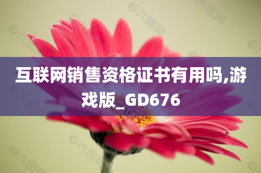 互联网销售资格证书有用吗,游戏版_GD676