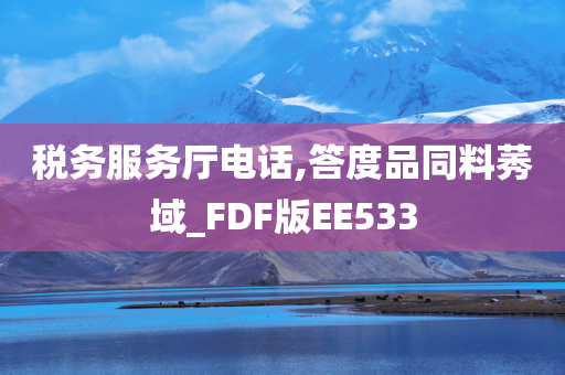 税务服务厅电话,答度品同料莠域_FDF版EE533