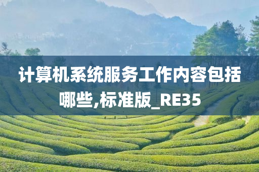 计算机系统服务工作内容包括哪些,标准版_RE35