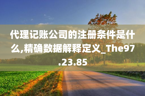 代理记账公司的注册条件是什么,精确数据解释定义_The97.23.85