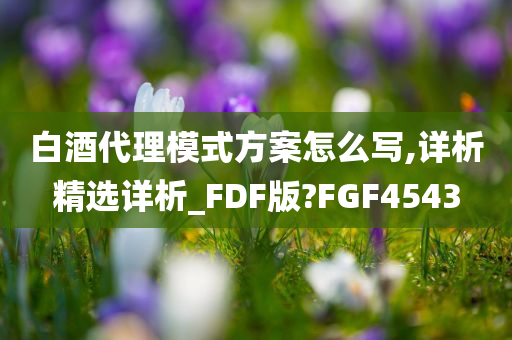 白酒代理模式方案怎么写,详析精选详析_FDF版?FGF4543