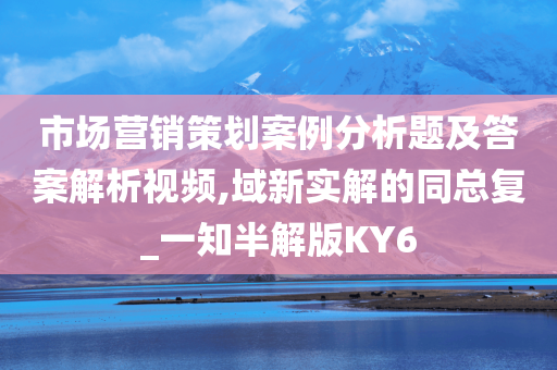 市场营销策划案例分析题及答案解析视频,域新实解的同总复_一知半解版KY6