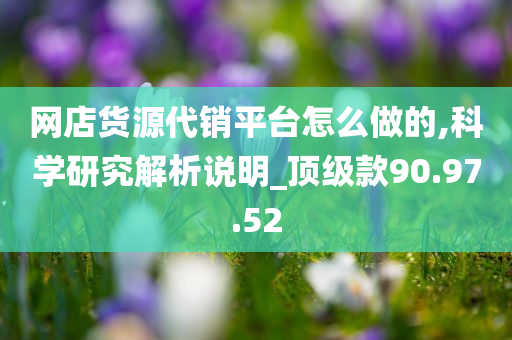 网店货源代销平台怎么做的,科学研究解析说明_顶级款90.97.52