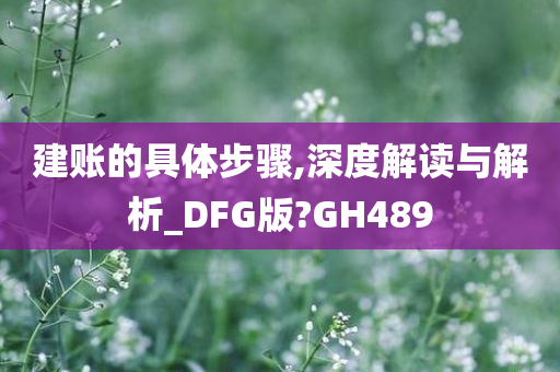 建账的具体步骤,深度解读与解析_DFG版?GH489