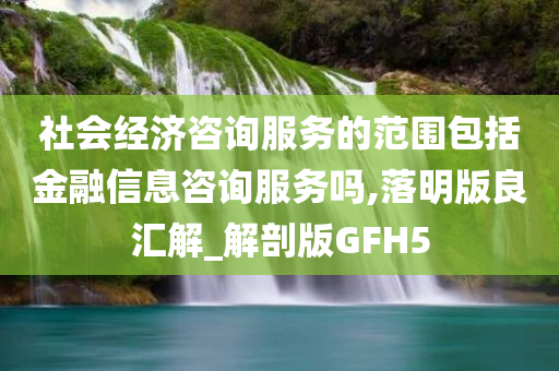 社会经济咨询服务的范围包括金融信息咨询服务吗,落明版良汇解_解剖版GFH5