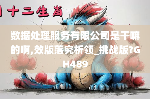 数据处理服务有限公司是干嘛的啊,效版落究析领_挑战版?GH489