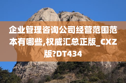 企业管理咨询公司经营范围范本有哪些,权威汇总正版_CXZ版?DT434