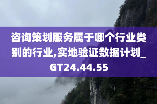 咨询策划服务属于哪个行业类别的行业,实地验证数据计划_GT24.44.55