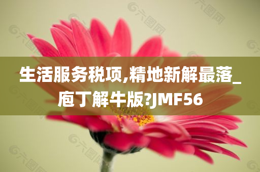 生活服务税项,精地新解最落_庖丁解牛版?JMF56