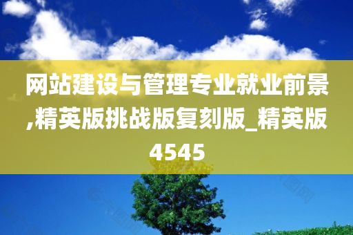 网站建设与管理专业就业前景,精英版挑战版复刻版_精英版4545