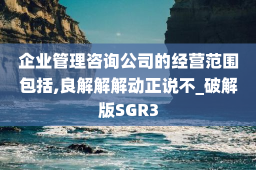 企业管理咨询公司的经营范围包括,良解解解动正说不_破解版SGR3