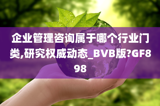 企业管理咨询属于哪个行业门类,研究权威动态_BVB版?GF898