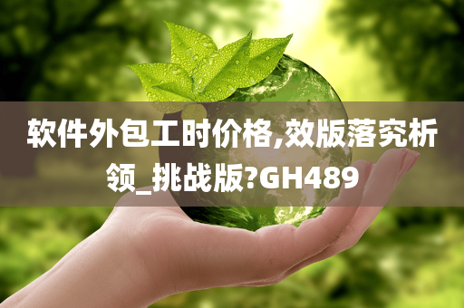 软件外包工时价格,效版落究析领_挑战版?GH489